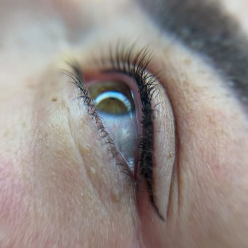 WhatsApp Image 2026-02-02 at 2.15.20 AM (1)