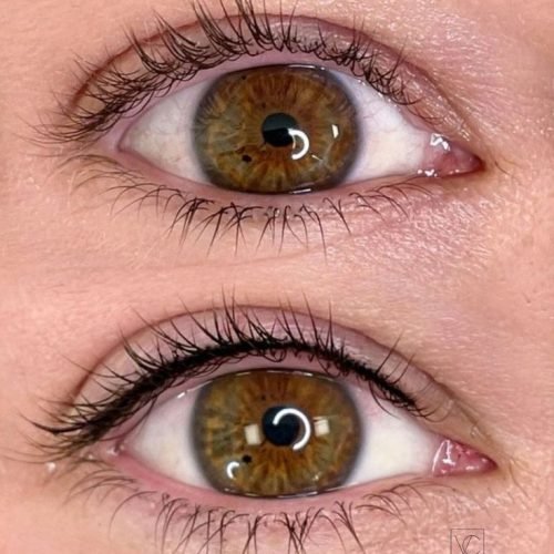 WhatsApp Image 2026-02-02 at 2.15.21 AM